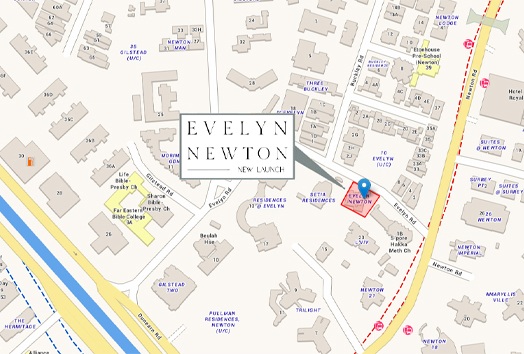Evelyn Newton New Launch
